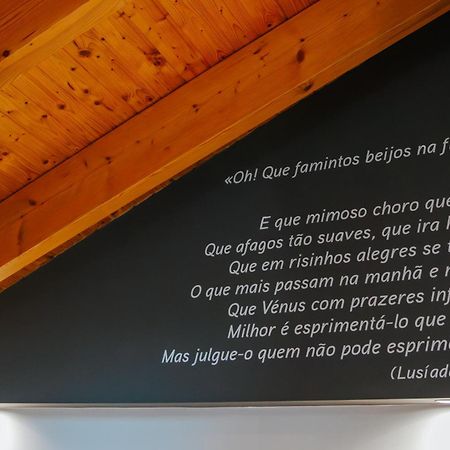 Casa Luis De Camoes - Boutique & Literary House Pensionat Santar Eksteriør billede