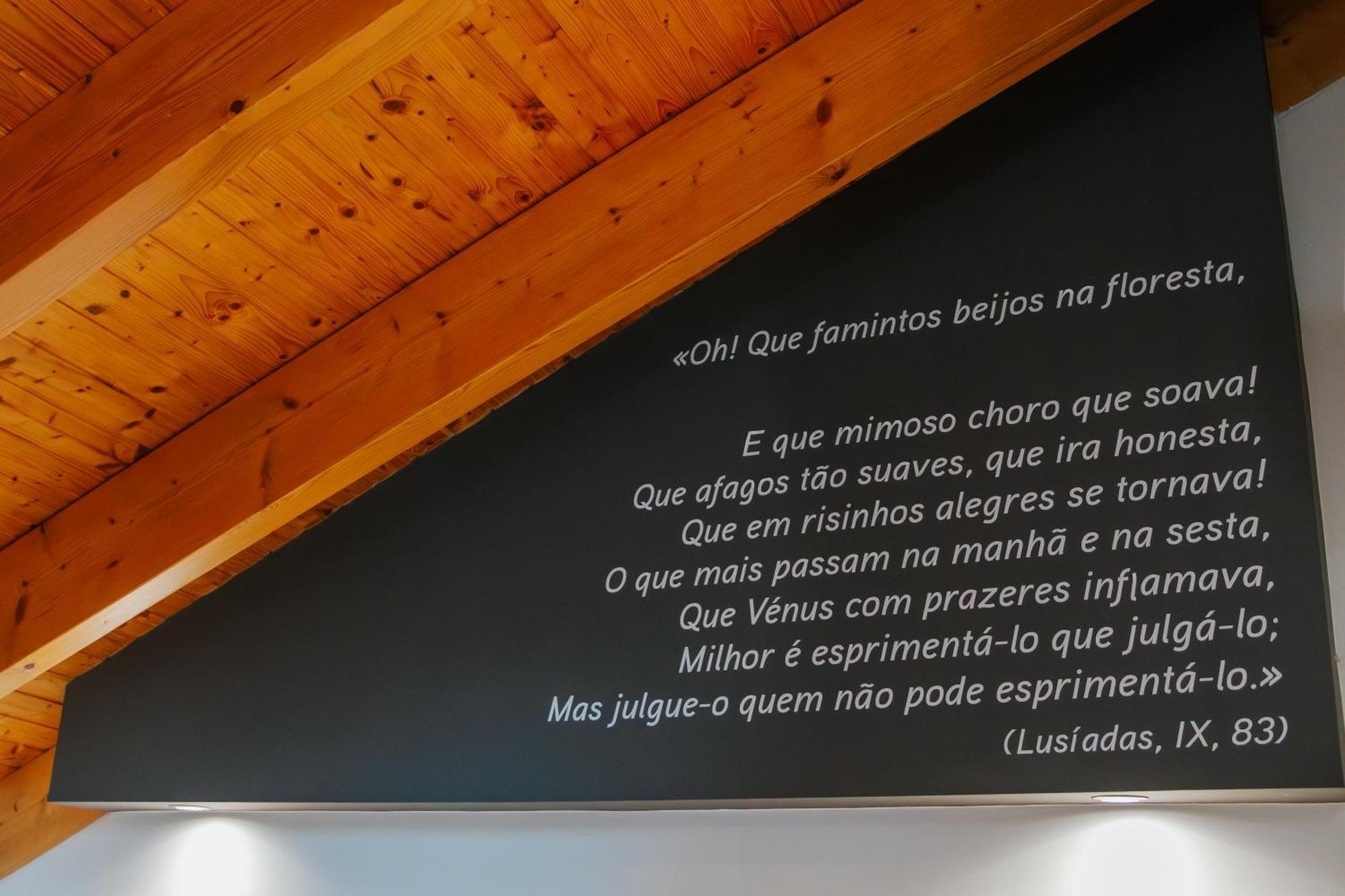 Casa Luis De Camoes - Boutique & Literary House Pensionat Santar Eksteriør billede
